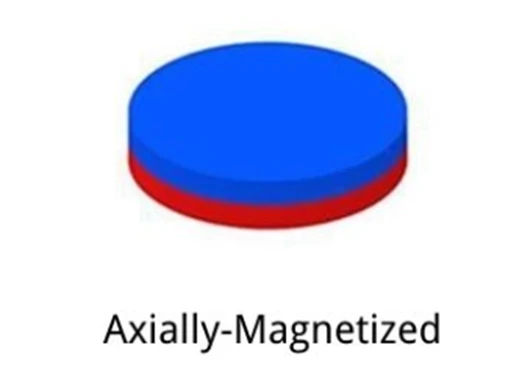 Axial Magnetization Axial Magnetization